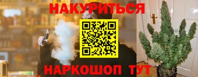 прущие крисы Кимры