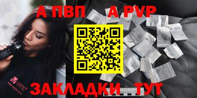 шишки Кингисепп