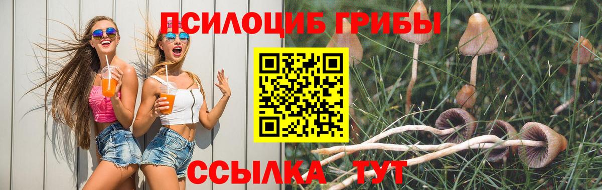 Псилоцибиновые грибы мухоморы  Вход с VPN  Галлюциногенные грибы прущие грибы  Кстово 